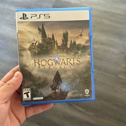 Hogwarts Legacy PS5