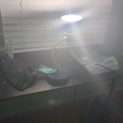 Office Light 