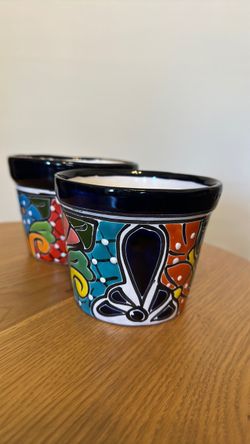 Two plant pots