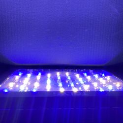 TOLYS Likesuns .LED Grow Light 1000W LED Plant Grow Lights Full Spectrum . Double Switch Veg and Bloom for Sale in Ontario CA OfferUp