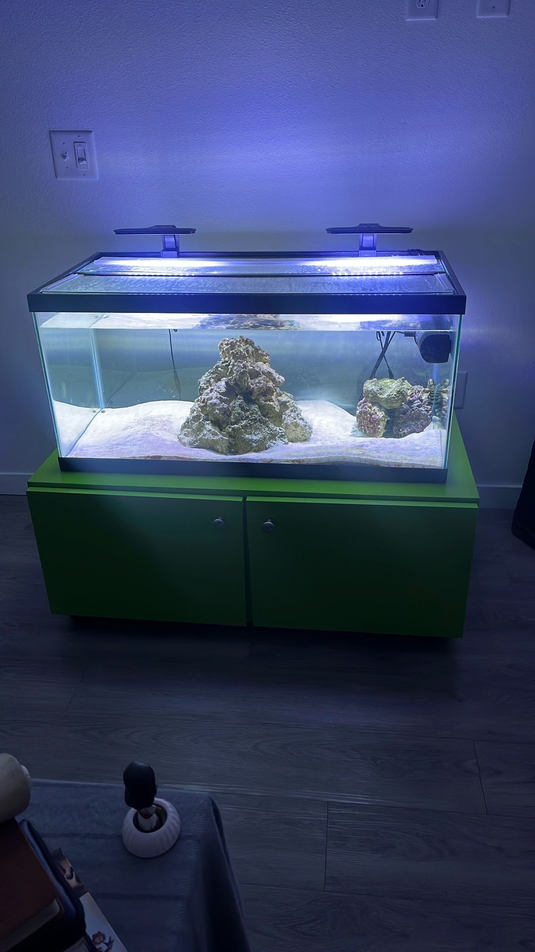 40 Gallon Saltwater Tank 