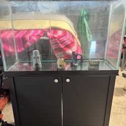 Fish Tank 