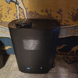 Humidifier With Essential Oils Option