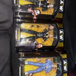 AEW Hardy boys & Orange Cassidy (Chase)