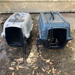 Cat Crates
