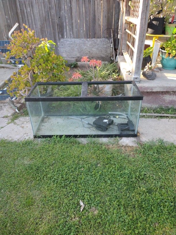 Reptile Terrarium