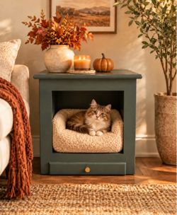 Modern accent table/ End Table with Storage