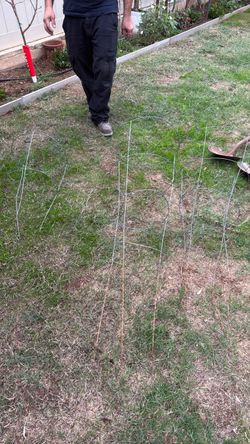 Wire Garden Plant Support Hoops