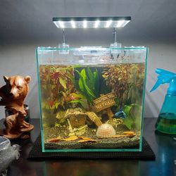 Aquarium