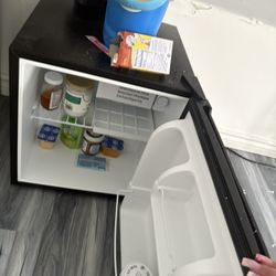 Mini Fridge 