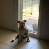 lola