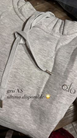 Alo Grey Hoodie