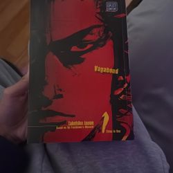 Vagabond 1