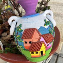 AGaVe Plants And NEW Pots