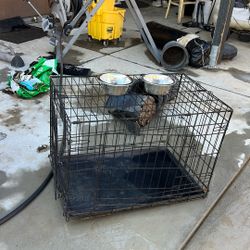 Puppy Food Water Bowl And Puppies Cage 
