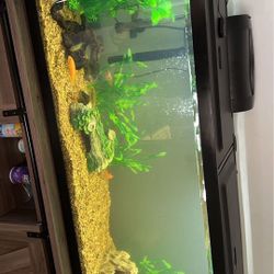 55 Gal Fish Tank W/ Everything