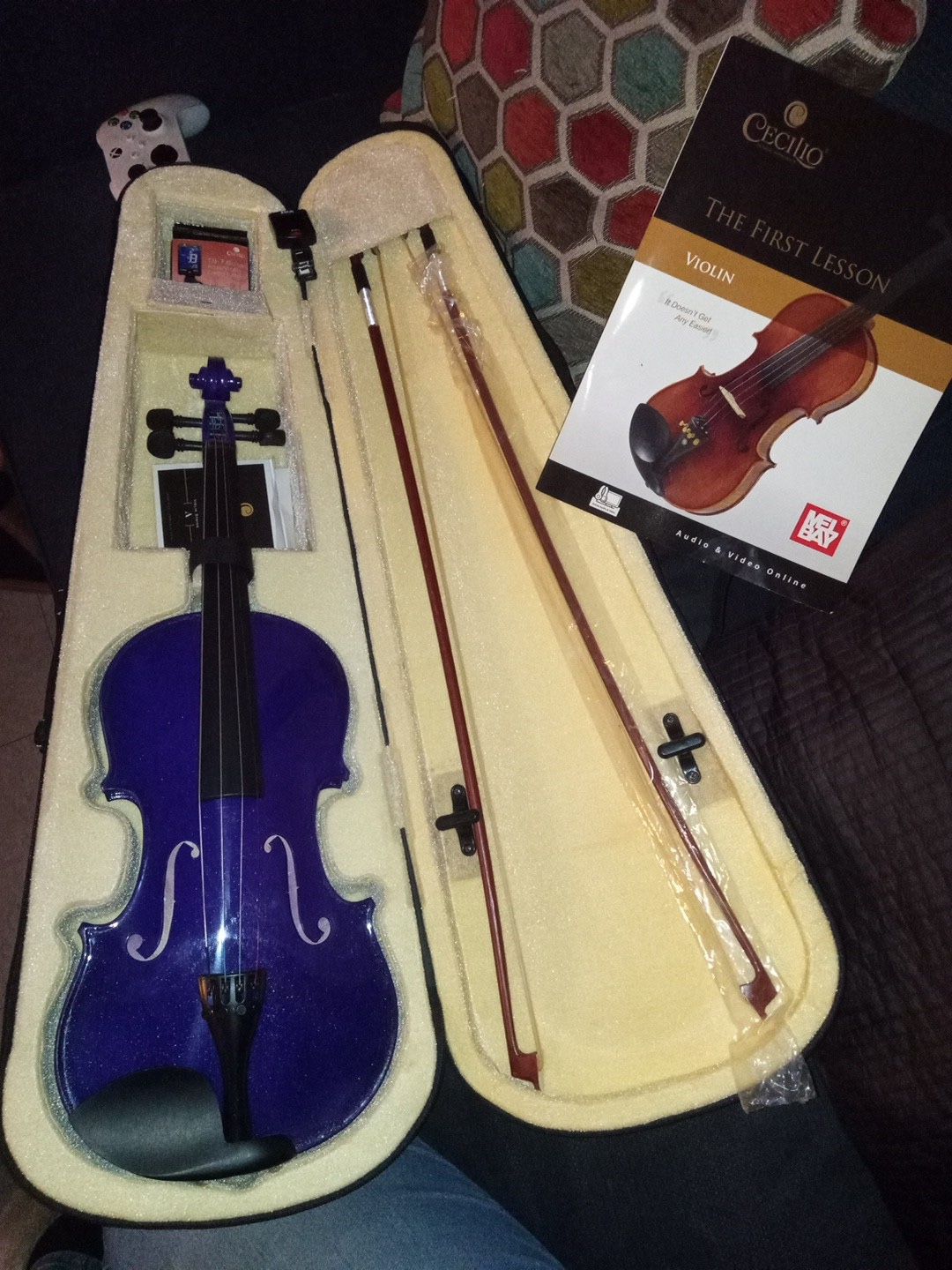 Violin