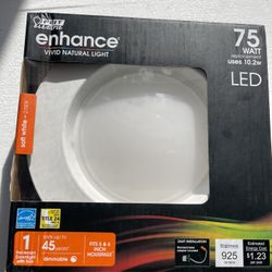 Feit Electric 75 Watt LED