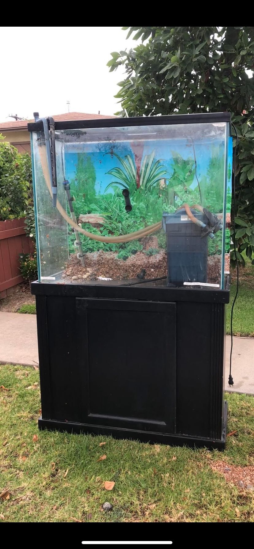 75 Gallon Fish Tank