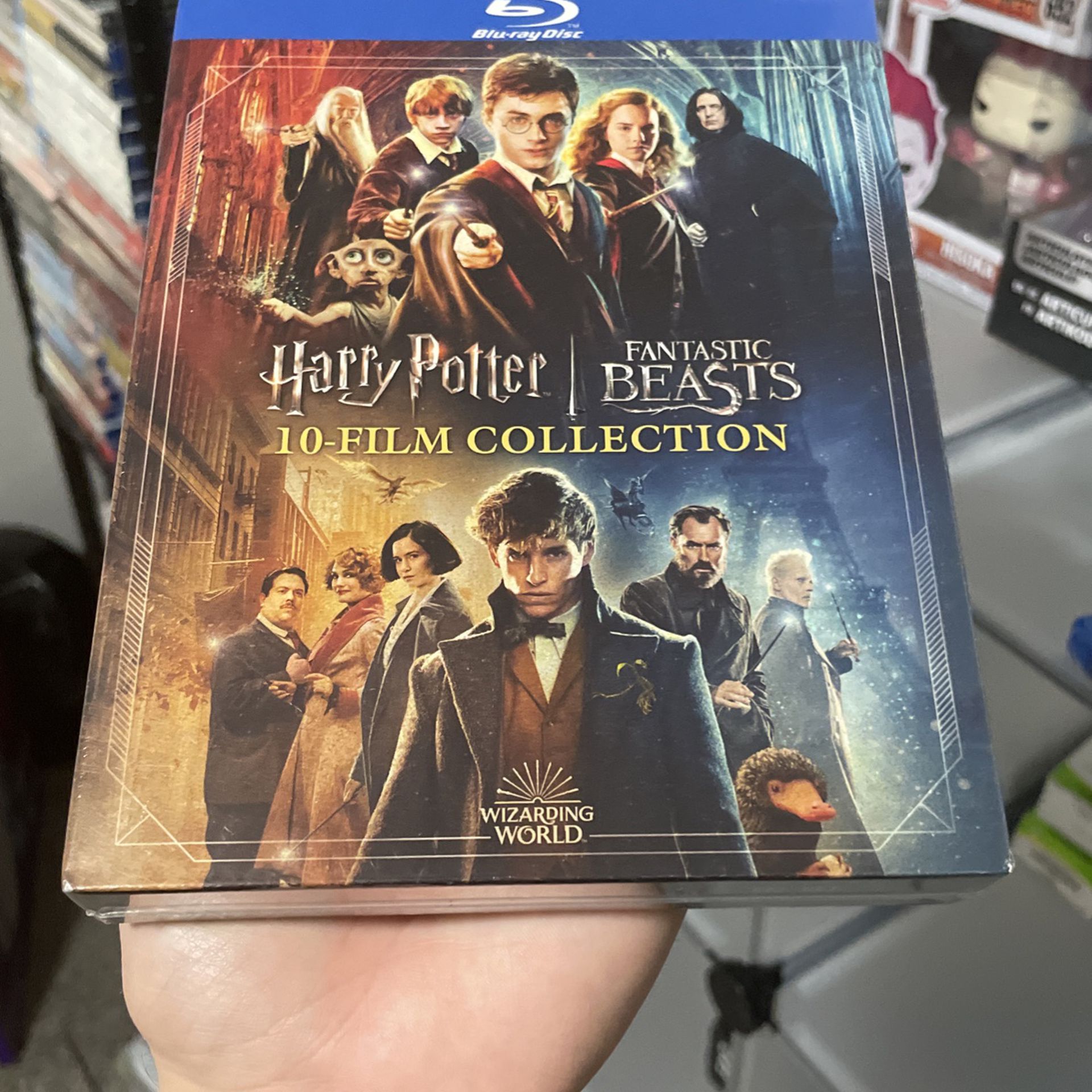 Wizarding World 10 Film Collection – Harry Potter & Fantastic