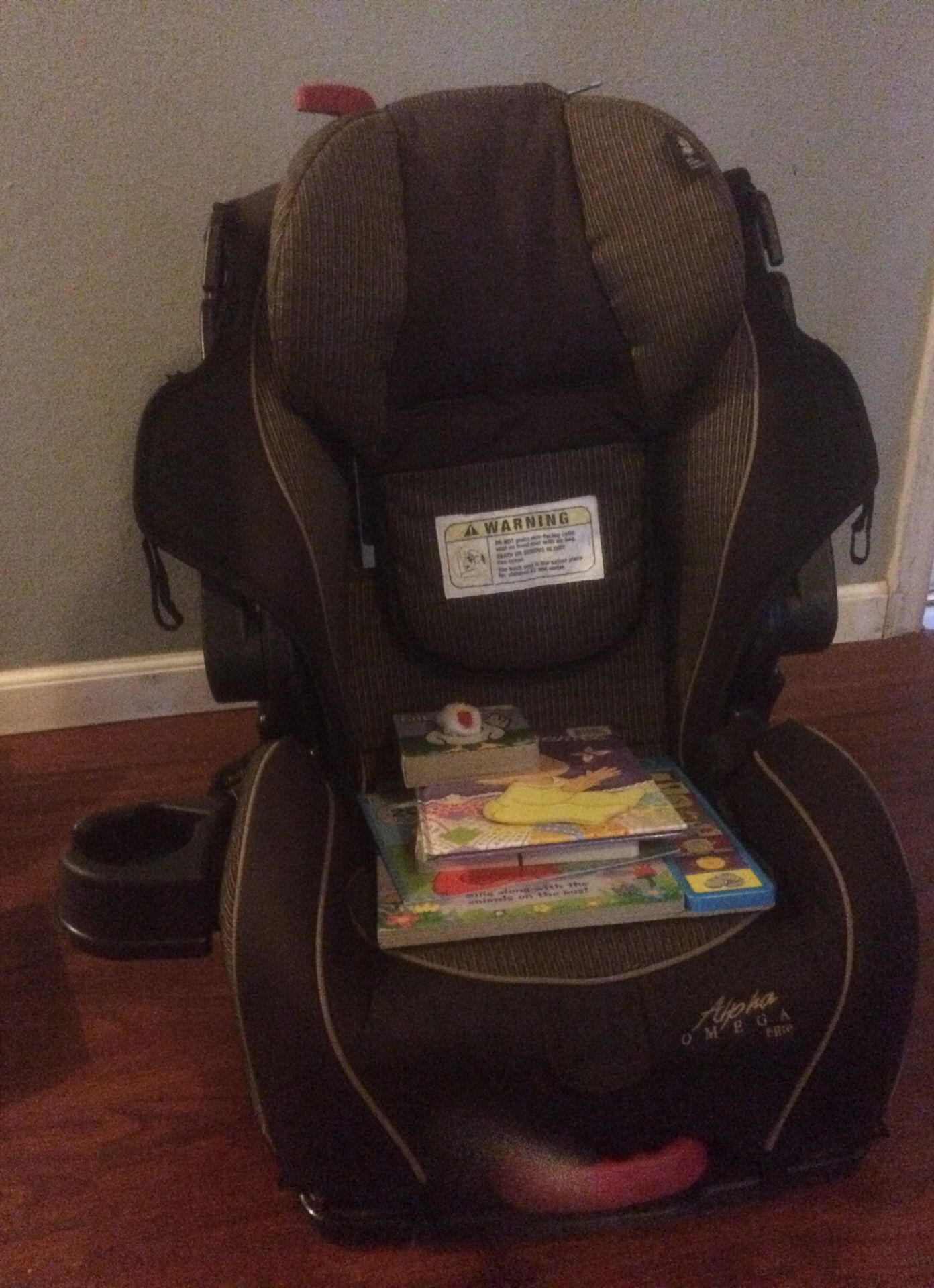 Car seat and books