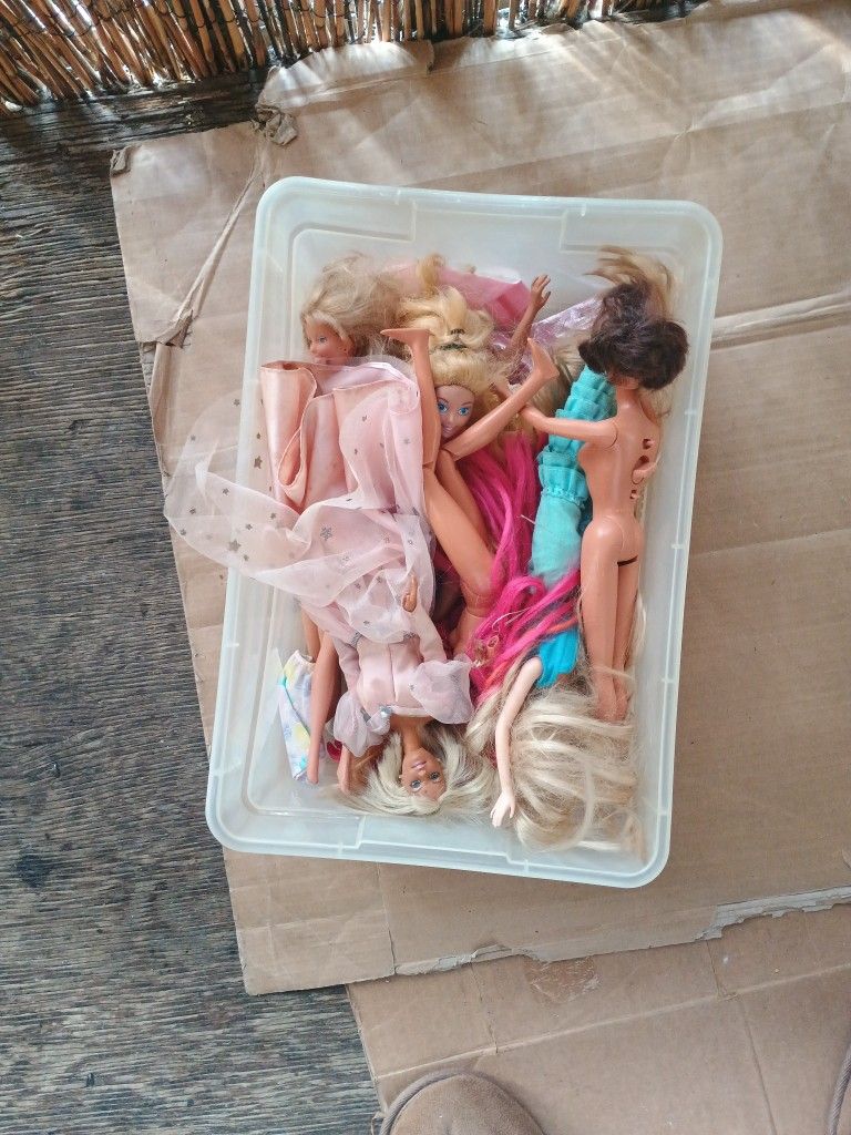 A Dozen Barbies Plus