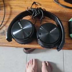 Sony Headset Plug In