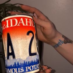 Rare License Plate Purse
