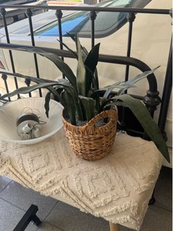 Large Faux Snake Plant in Decorative Woven Basket