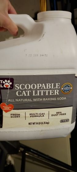 Pet Supplies - Cat Litter Box, Cat Litter, Scooper