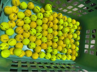 1000  Golf Balls!