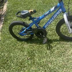Kids Schwinn Bike