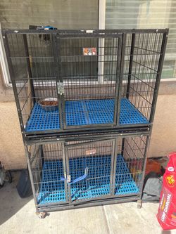 Double stacked dog kennel