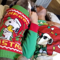 Free XL/L Doggy Clothes 