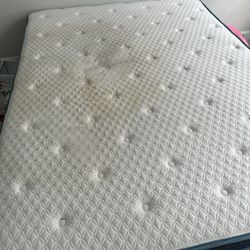 Queen Mattress and Spring Box