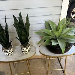 Two Marble Plant Stands 