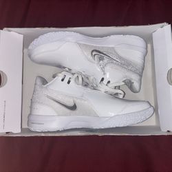 ZM LEBRON NXXT GEN AMPD