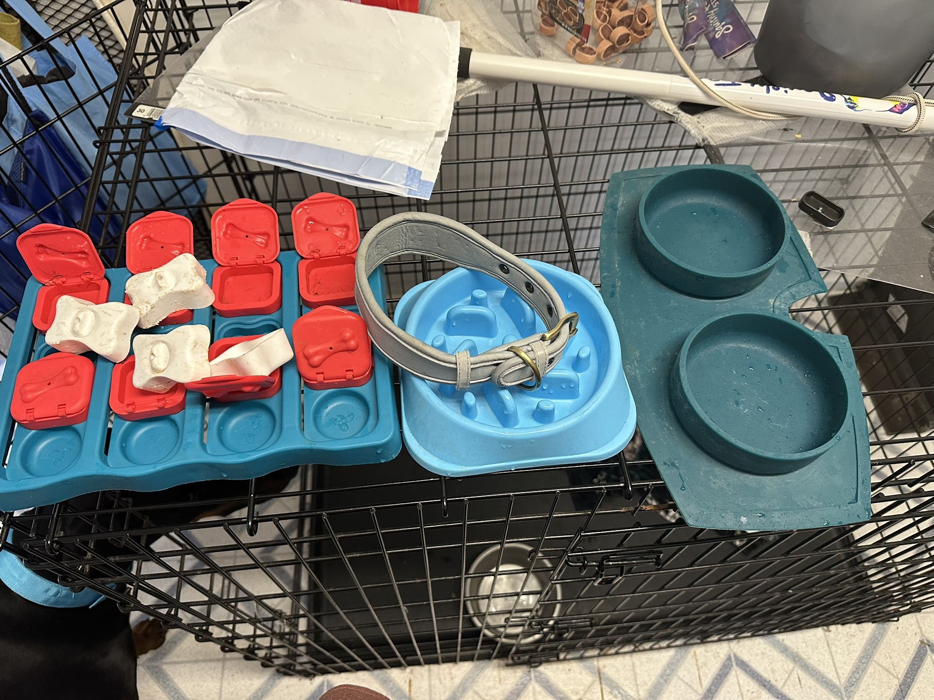 Pet Accessories 