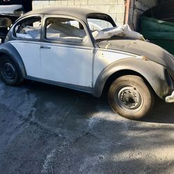 1965 VW BUG