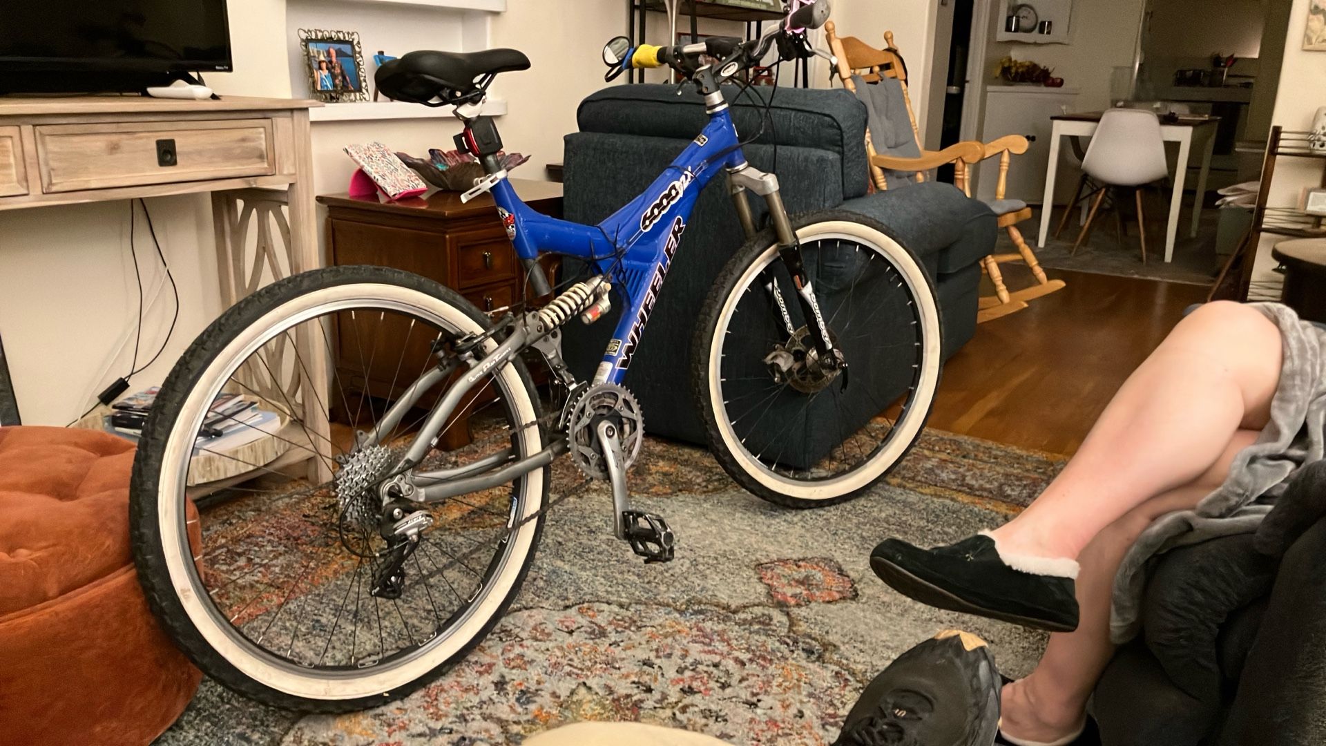 Mountain Bike