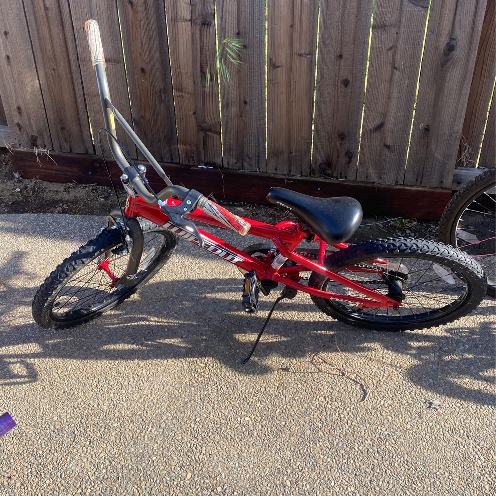 Boys 20’ Wipeout Bike