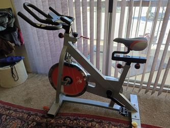 Sunny Workout Bike