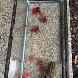 20 Gallon Fish/Axolotl/creature Tank   