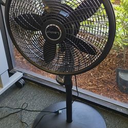 Lasko Floor Rotating Fan