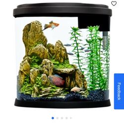 3.5 gallon fish tank 