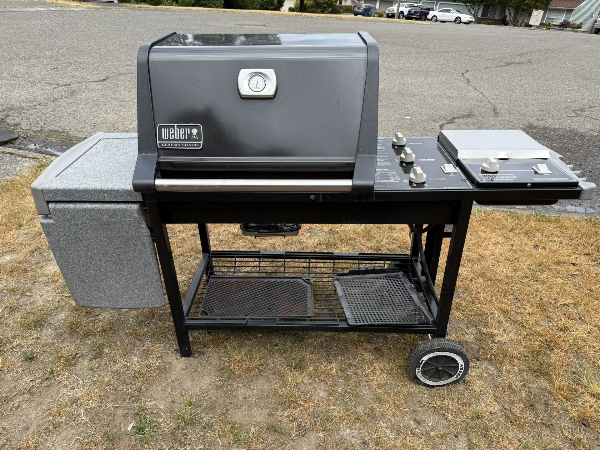 Weber Grill