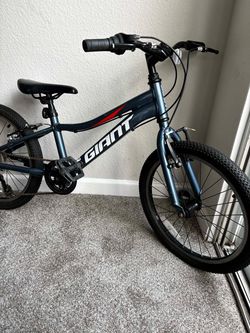 Giant xtc jr 20”