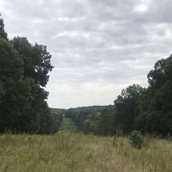 2.5 Acres (read Info)