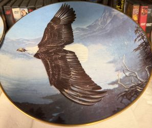 Flying Eagle Plate 14 K Rimmed