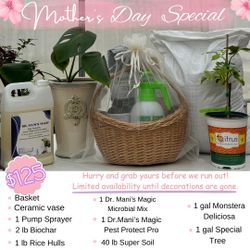 Special Of The Month